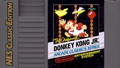 Donkey-kong-jr.png